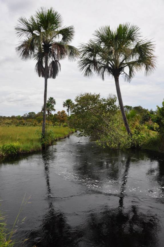 Rio da Prata, região de São Félix do Tocantins, no Jalapão - TO